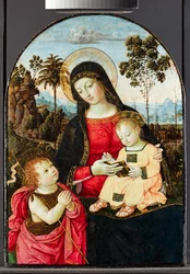 Jungfrau und Kind mit Johannes dem Täufer, 1490-95